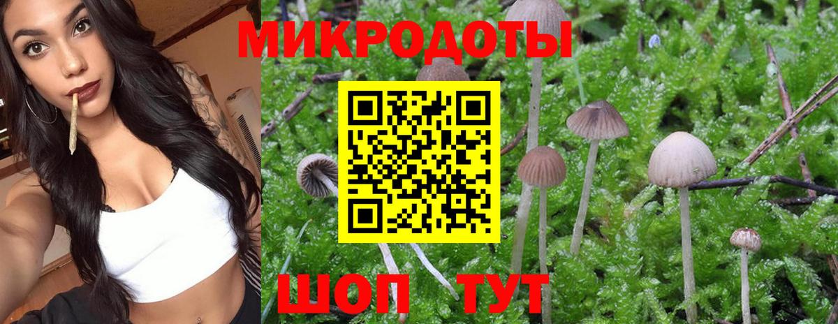 Нижнеудинск  Галлюциногенные грибы Magic Shrooms  Галлюциногенные грибы Psilocybe  Вход с VPN 