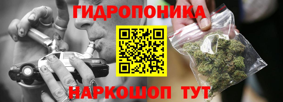 Бошки Шишки план Нижнеудинск